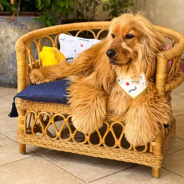 The Armchair
