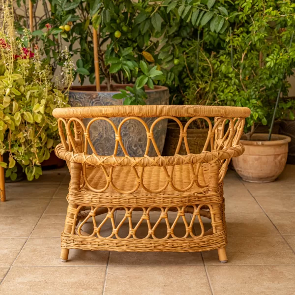 The Armchair - Image 36