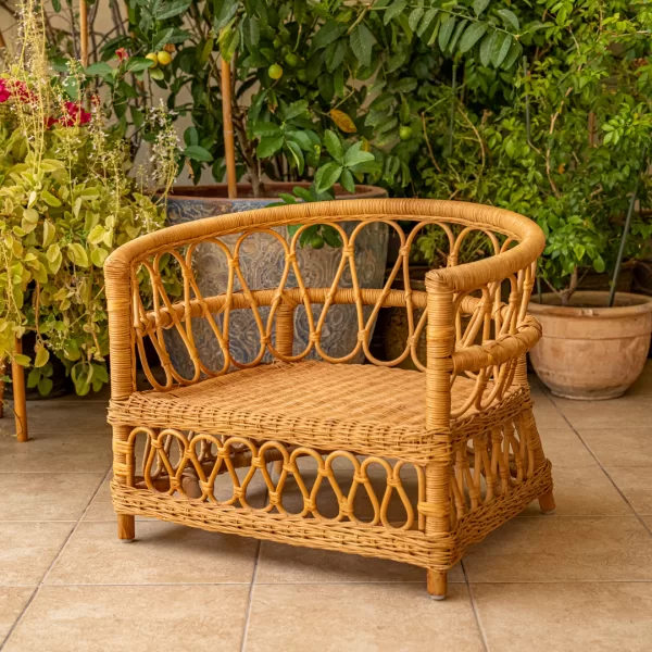 The Armchair - Image 37