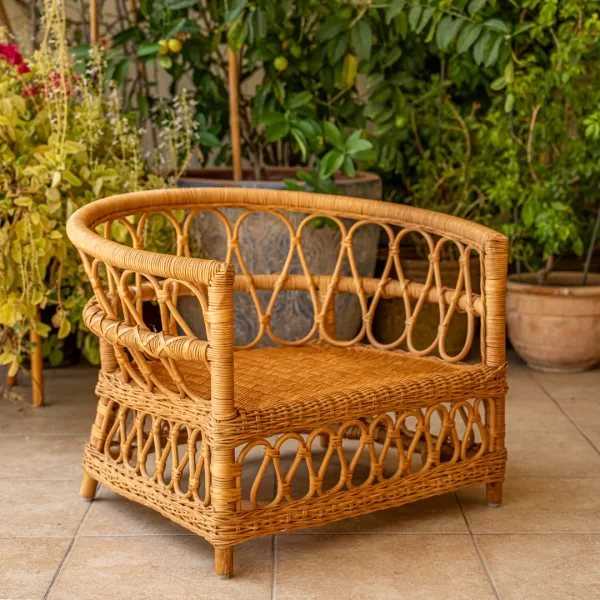 The Armchair - Image 38