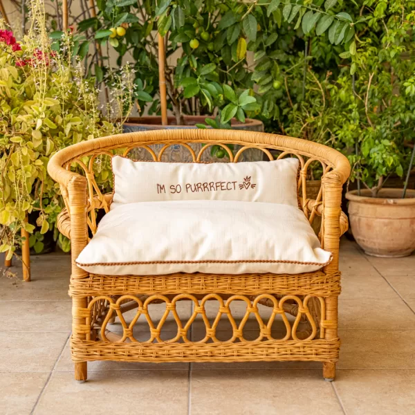The Armchair - Image 32