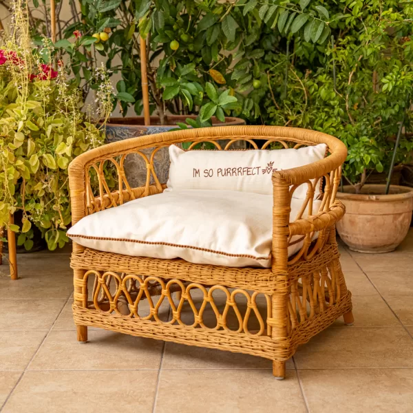 The Armchair - Image 31