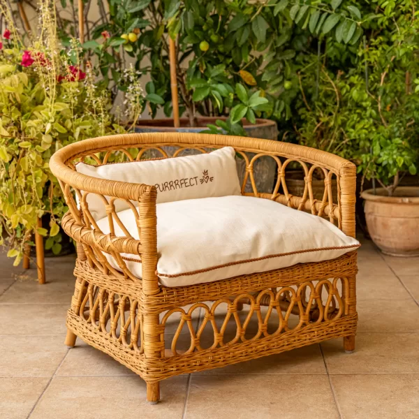 The Armchair - Image 30