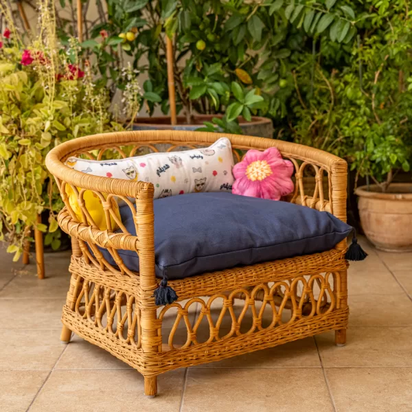 The Armchair - Image 23