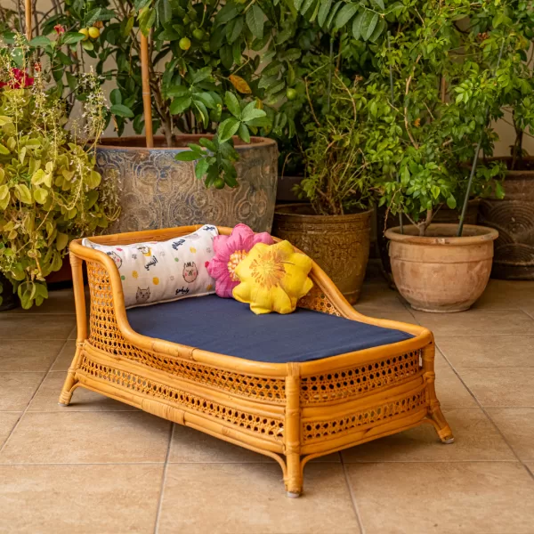 The Chaise Lounge - Image 12