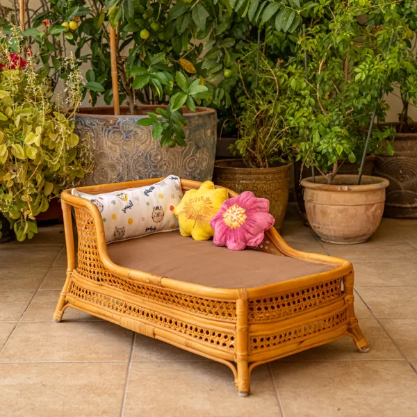 The Chaise Lounge - Image 11