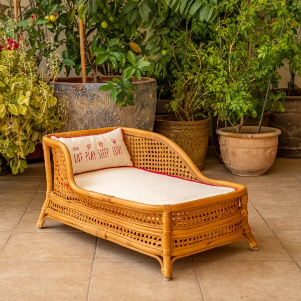 The Chaise Lounge - Image 8