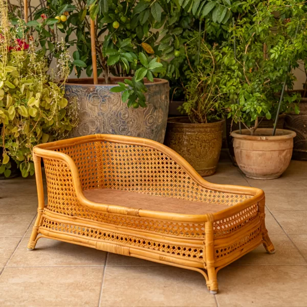 The Chaise Lounge - Image 14