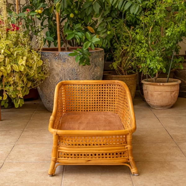 The Chaise Lounge - Image 16
