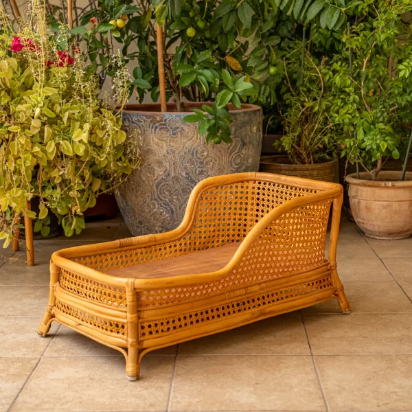 The Chaise Lounge - Image 15