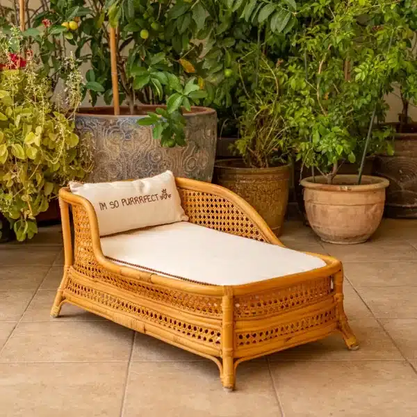 chaise lounge_purfect_front