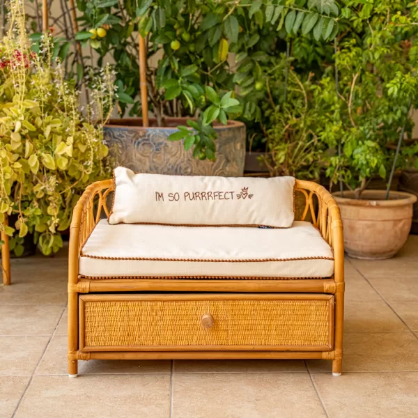 The Daybed - Image 19