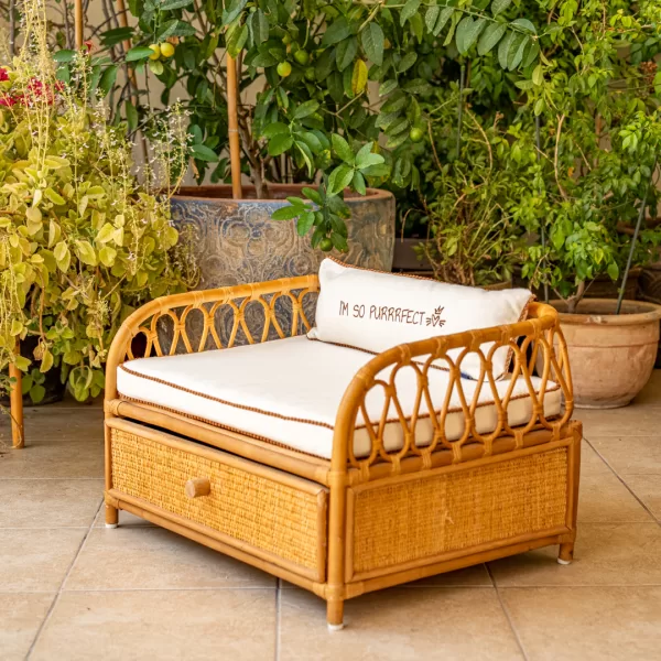 The Daybed - Image 18