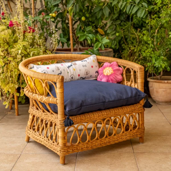 The Armchair - Image 11