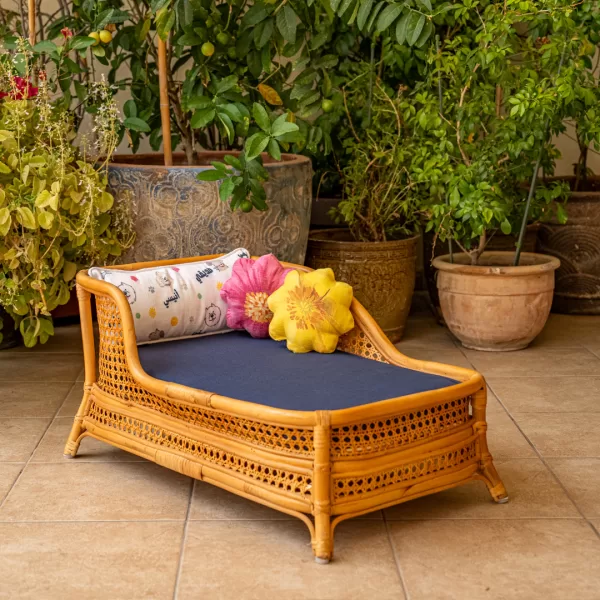The Chaise Lounge - Image 6