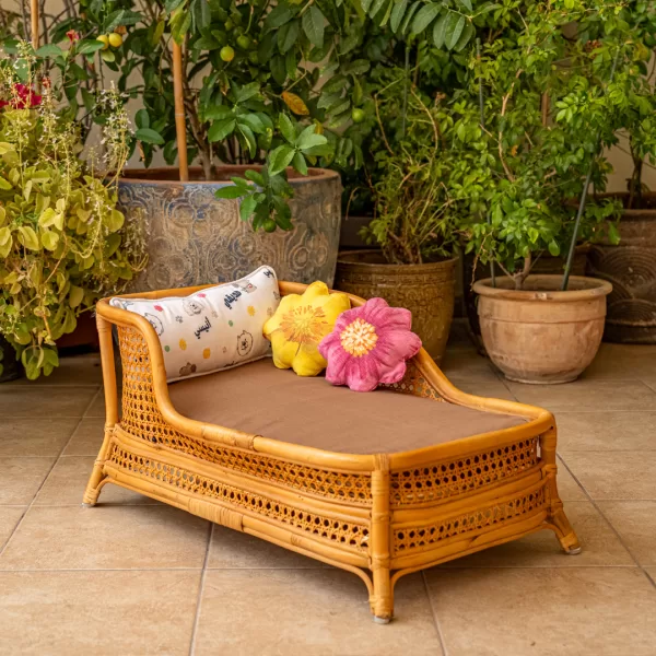The Chaise Lounge - Image 5