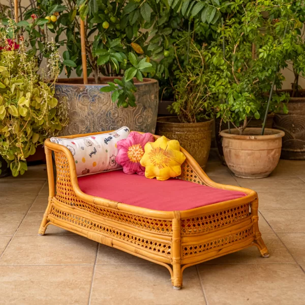 The Chaise Lounge - Image 4