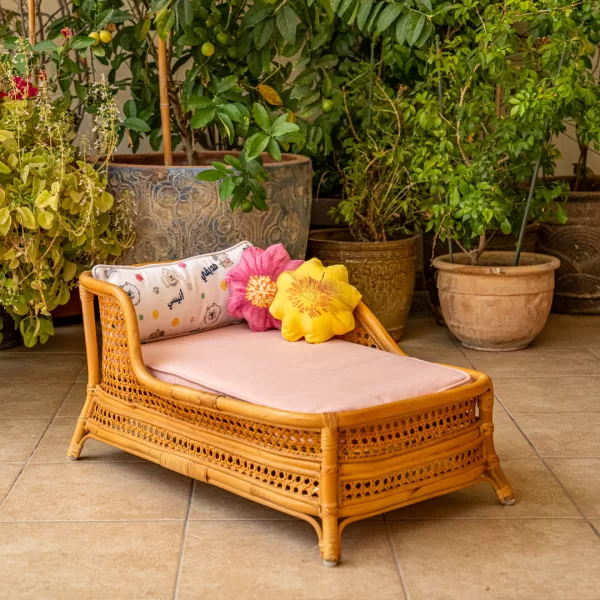 The Chaise Lounge - Image 3