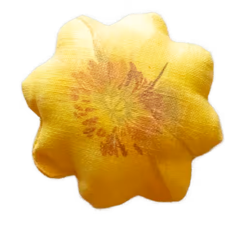 cushion yellow flower