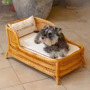 The Chaise Lounge