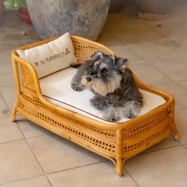 The Chaise Lounge