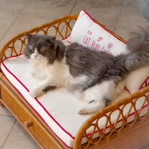 The Daybed